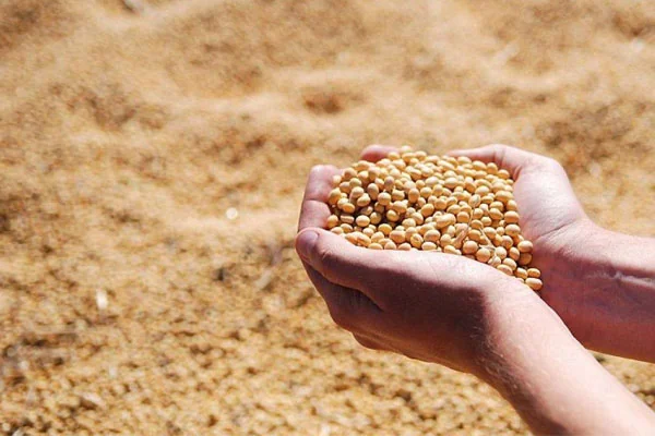 بررسی نهاده در مزرعه